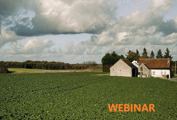 Valutazione degli immobili rurali - WEBINAR